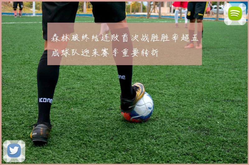 森林狼终结连败首次战胜胜率超五成球队迎来赛季重要转折