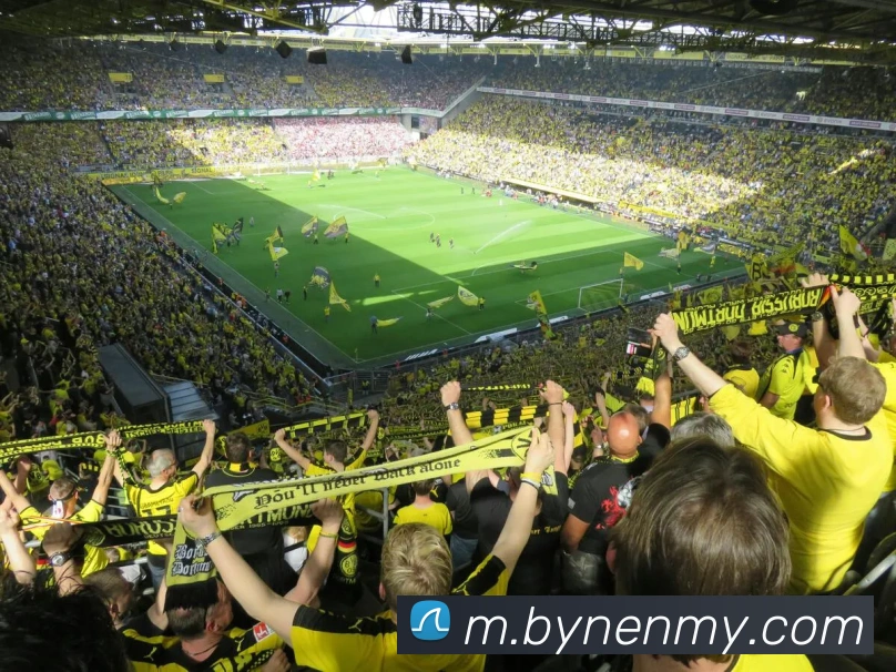 开云体育平台生态图