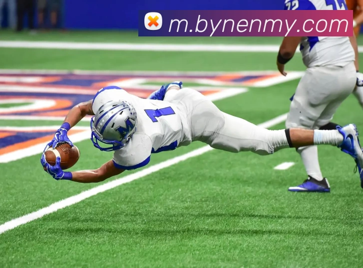 开云体育APP 封面图